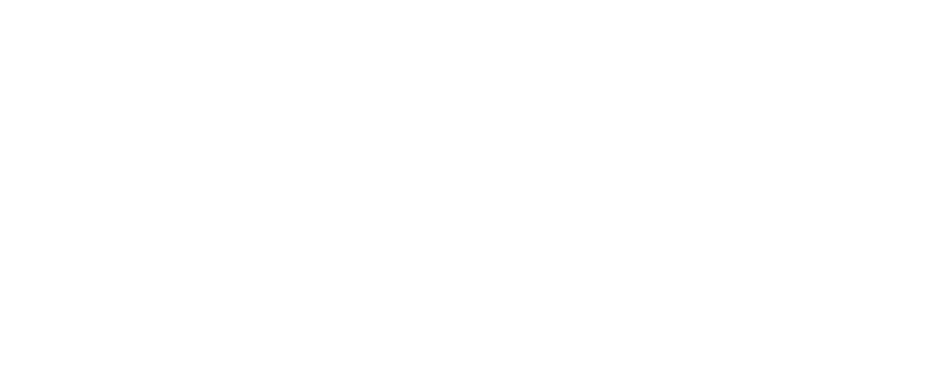 Logo The Bronx